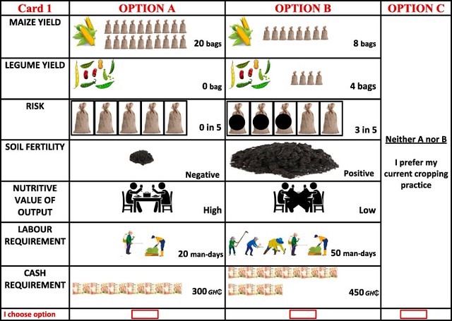 Example of a choice card used in the choice experiment on farmers perspectives on sustainable intensification in northern Ghana.