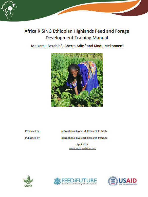 animal feed production business plan in ethiopia